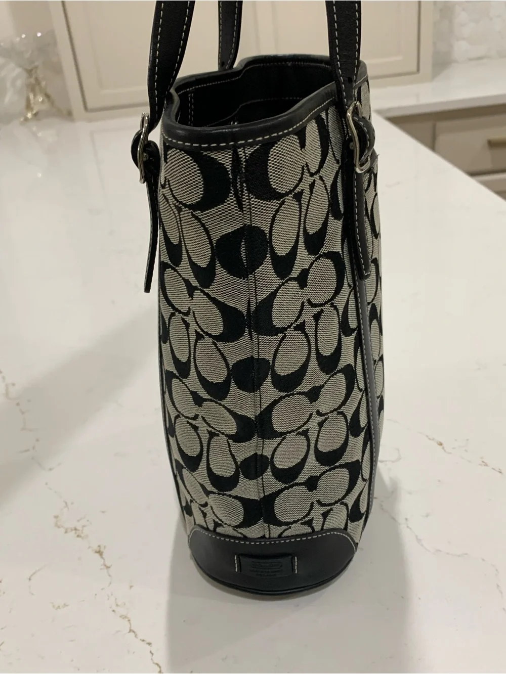 Coach Canvas Tote in Black Hampton Bag